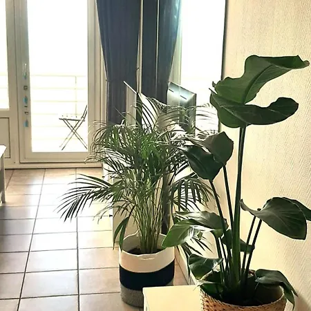 L'oo Appartement